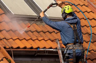 Démoussage et hydrofuge de toiture à Sathonay-Village